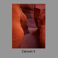 Canyon X